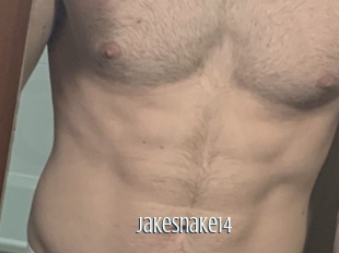 Jakesnake14
