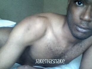Jake_tha_snake