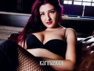 Karinasodi