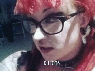 Kitten6