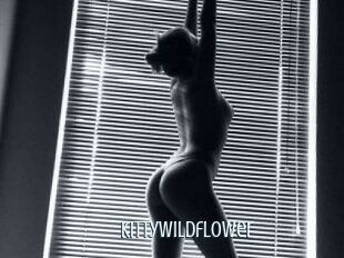 KittyWildflower