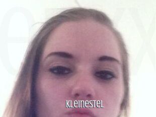 KleineStel