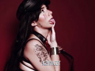 Kamicat
