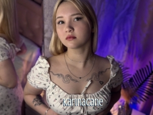 Karinacane