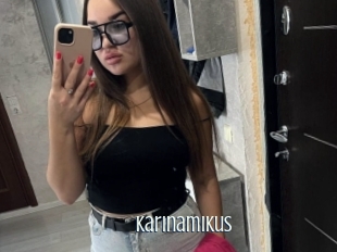 Karinamikus