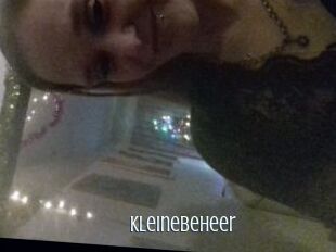 Kleinebeheer