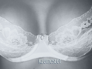 Kleineslet