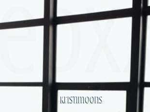 Kristimoons