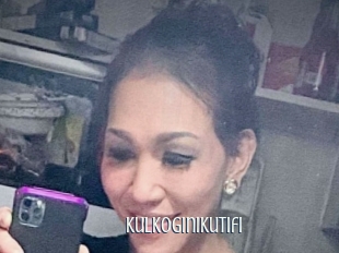 Kulkoginikutifi