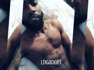 LDgadget