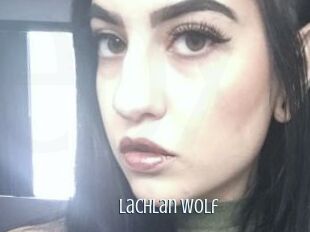 Lachlan_Wolf