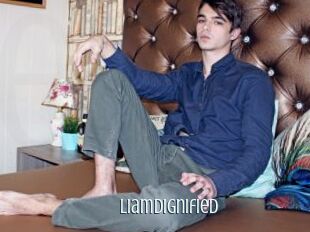 LiamDignified