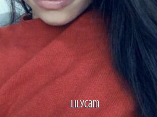 LilyCam