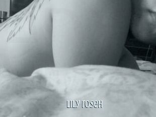 Lily_roseh
