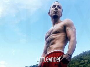 LittleAnder