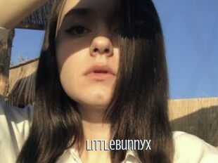 LittleBunnyX