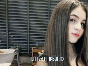 Little_PinkBunny