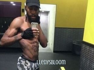 Lledys_Bloom