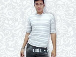 LuiguiBoy