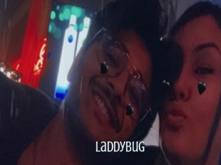 Laddybug