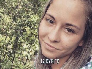 Ladybird