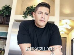 Latinostallionus
