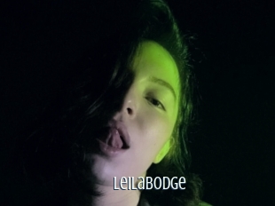 Leilabodge