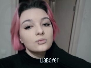Liaboyer