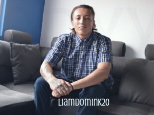 Liamdomink20