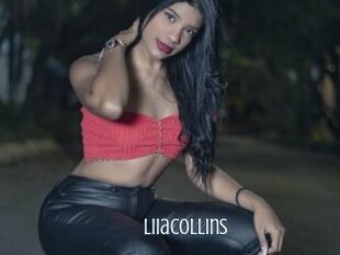 liiacollins Edonkey xxx