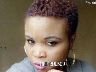 Lilinedu509