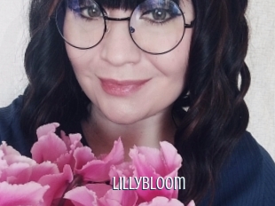 lillybloom Edonkey xxx