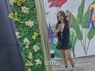Litross
