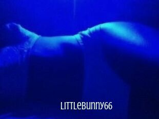 Littlebunny66