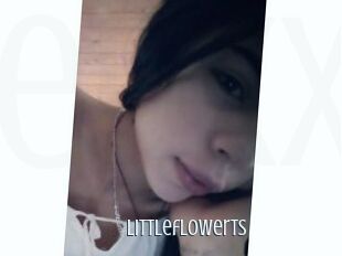 LittleflowerTS
