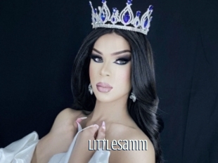 Littlesamm