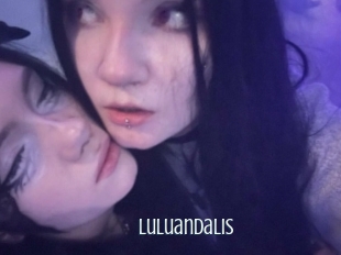 luluandalis Edonkey xxx