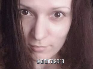 Mandragora