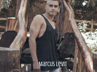 Marcus_Levit