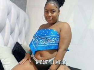 Mariana_Mesa