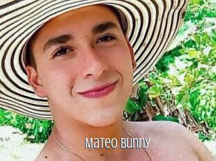 Mateo_Bunny