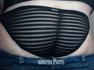 Mikeblevins
