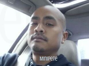 Minipete