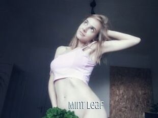 Mint_Leaf