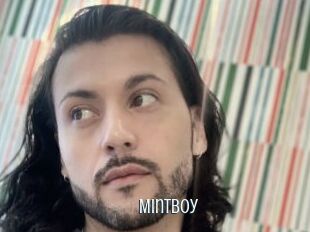 Mintboy
