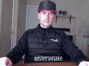 MisterShnake