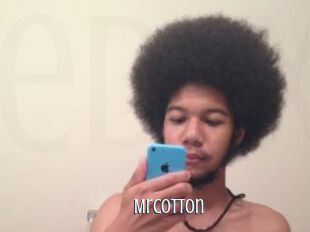 MrCotton