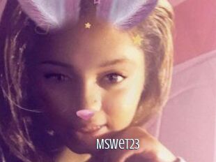 Mswet23