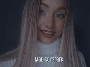 Madisonspark