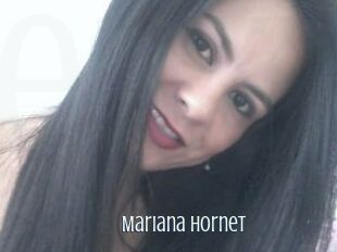 Mariana_hornet